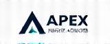 Apex Insight Advisors Logo